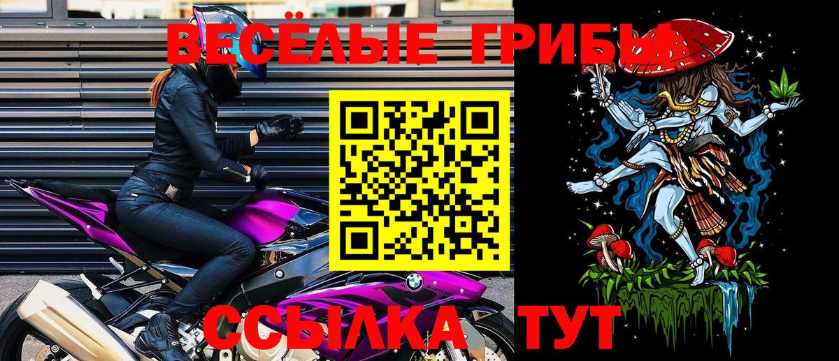 Кировск  Псилоцибиновые грибы MAGIC MUSHROOMS  Вход с VPN 