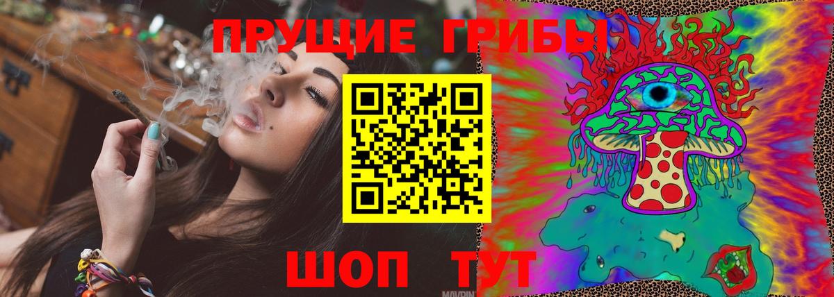 Псилоцибиновые грибы Cubensis Кировск